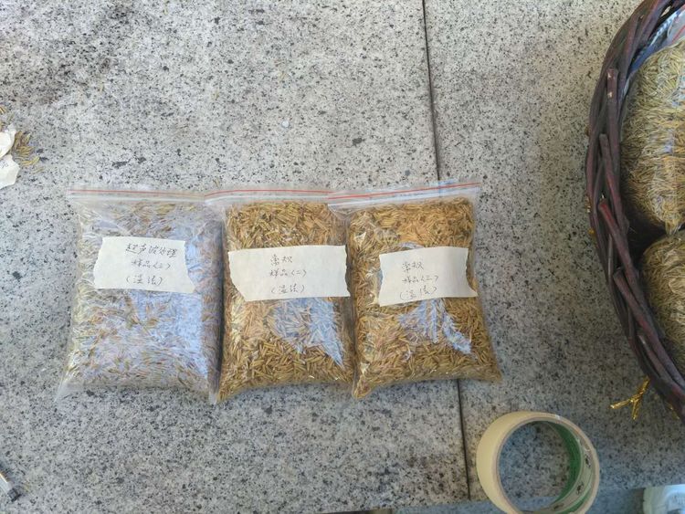“超聲波處理對稻谷表面微生物的影響”發(fā)表論文啦??！